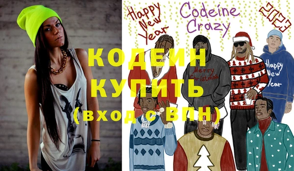 индика Медвежьегорск