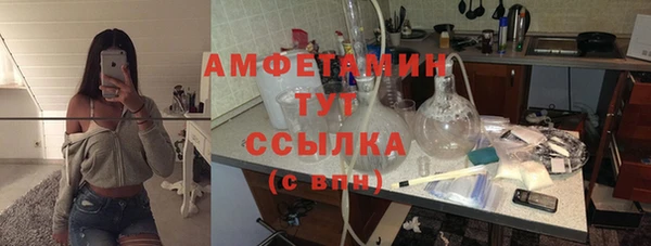 индика Медвежьегорск