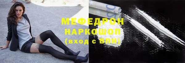 индика Медвежьегорск