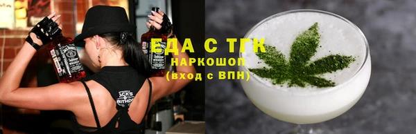 индика Медвежьегорск