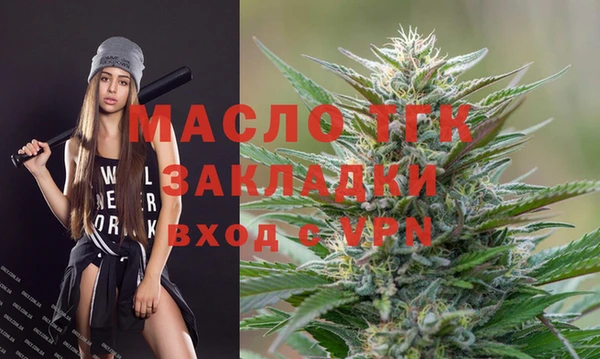 индика Медвежьегорск