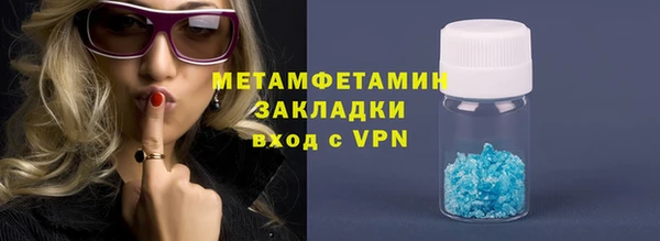 индика Медвежьегорск