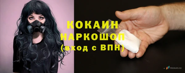 индика Медвежьегорск