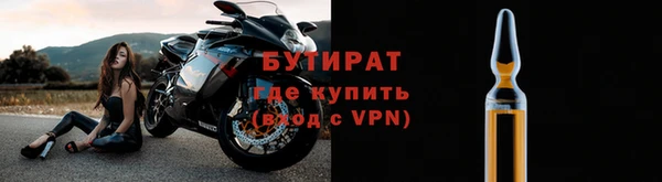 индика Медвежьегорск