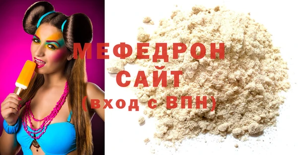 индика Медвежьегорск
