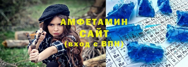 индика Медвежьегорск