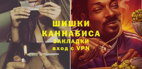 индика Медвежьегорск
