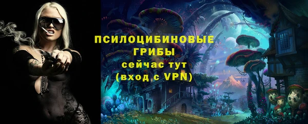 индика Медвежьегорск