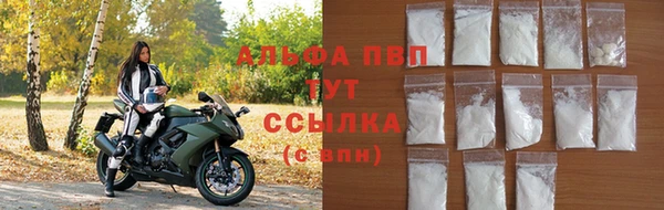 индика Медвежьегорск