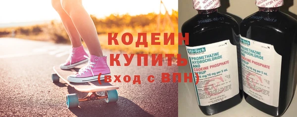 индика Медвежьегорск