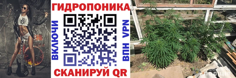 Шишки марихуана марихуана  KRAKEN маркетплейс  Хвалынск 